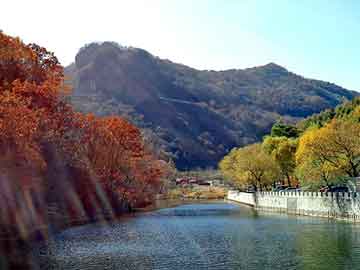 新澳天天开奖资料大全旅游团，穿越之花月弄影小说